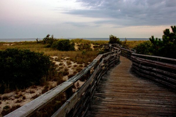 Sandbridge Real Estate Net